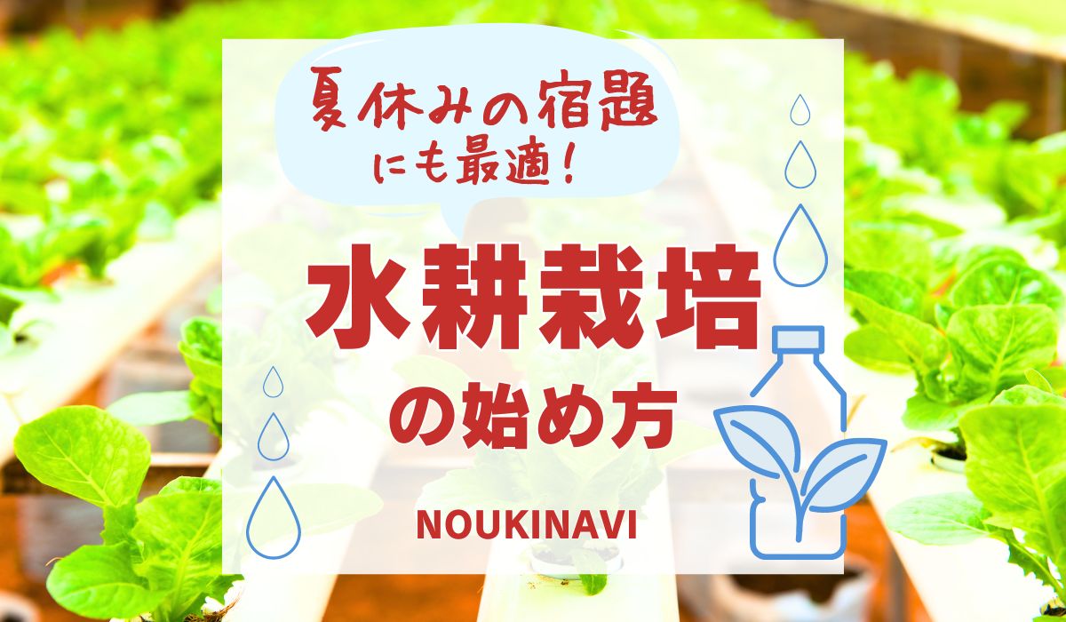 水耕栽培